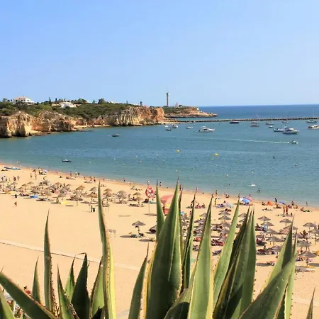 Ocean Terraces By Gaivota D Διαμέρισμα *