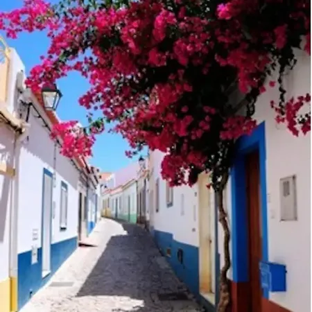 Ocean Terraces By Gaivota D Διαμέρισμα *