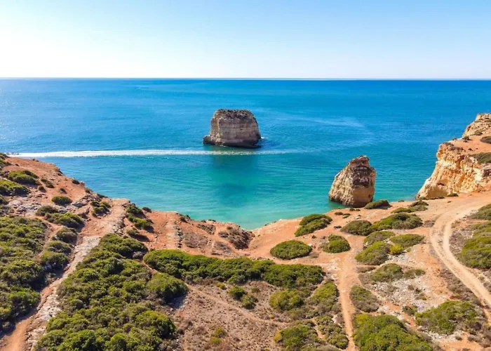 Ocean Terraces By Gaivota D Apartment *